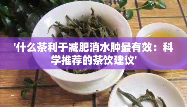 '什么茶利于减肥消水肿最有效：科学推荐的茶饮建议'