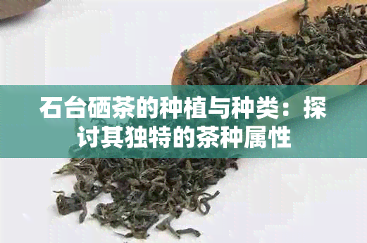 石台硒茶的种植与种类：探讨其独特的茶种属性