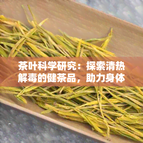 茶叶科学研究：探索清热解的健茶品，助力身体排