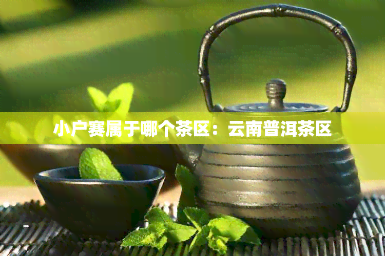 小户赛属于哪个茶区：云南普洱茶区