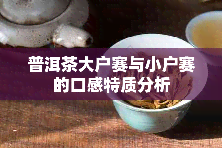 普洱茶大户赛与小户赛的口感特质分析