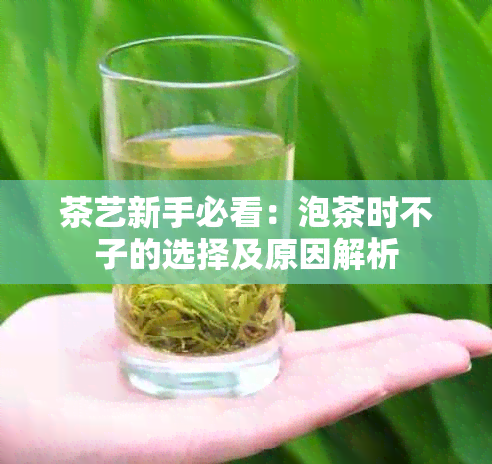 茶艺新手必看：泡茶时不子的选择及原因解析