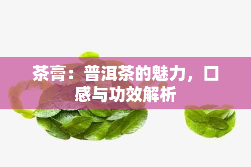 茶膏：普洱茶的魅力，口感与功效解析