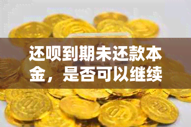 还款到期未还款本金，是否可以继续支付利息？如何处理？