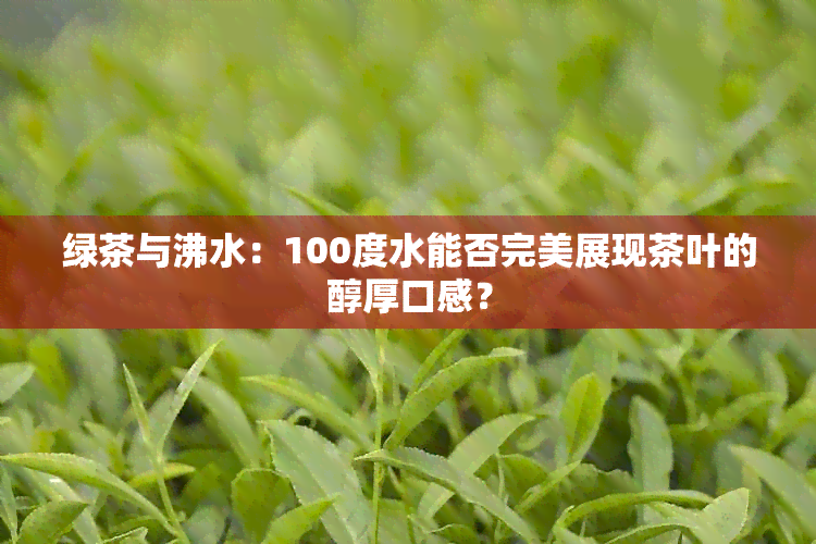 绿茶与沸水：100度水能否完美展现茶叶的醇厚口感？