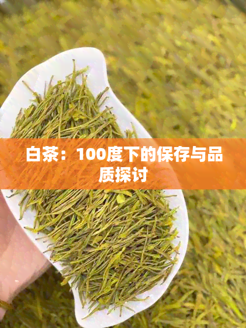 白茶：100度下的保存与品质探讨