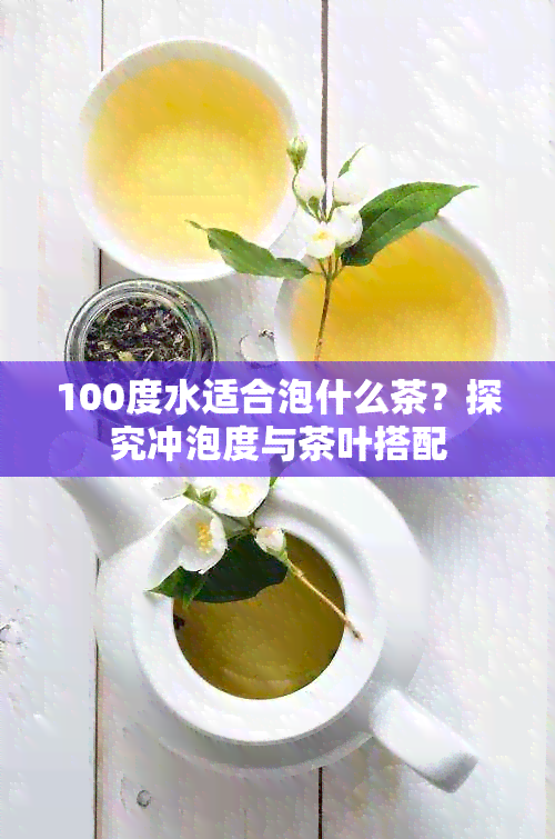 100度水适合泡什么茶？探究冲泡度与茶叶搭配