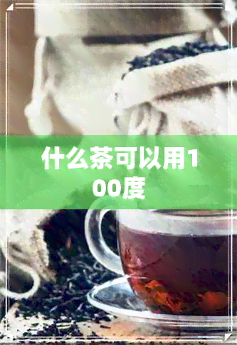 什么茶可以用100度