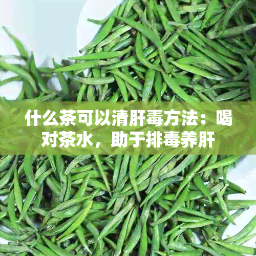 什么茶可以清肝方法：喝对茶水，助于排养肝