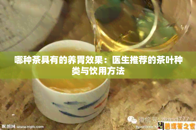 哪种茶具有的养胃效果：医生推荐的茶叶种类与饮用方法