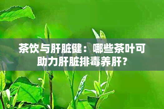 茶饮与肝脏健：哪些茶叶可助力肝脏排养肝？