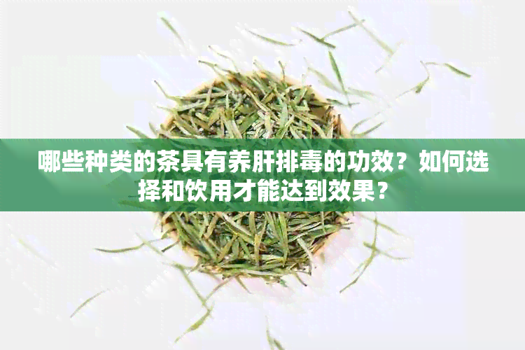 哪些种类的茶具有养肝排的功效？如何选择和饮用才能达到效果？