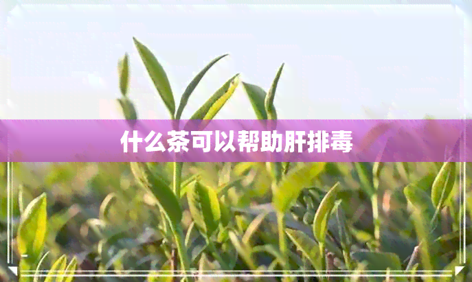 什么茶可以帮助肝排