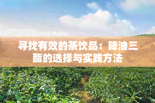 寻找有效的茶饮品：降油三酯的选择与实践方法