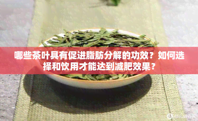 哪些茶叶具有促进脂肪分解的功效？如何选择和饮用才能达到减肥效果？