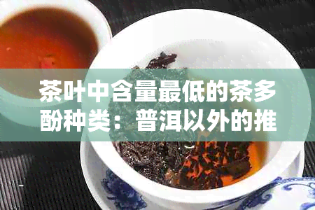 茶叶中含量更低的茶多酚种类：普洱以外的推荐选择