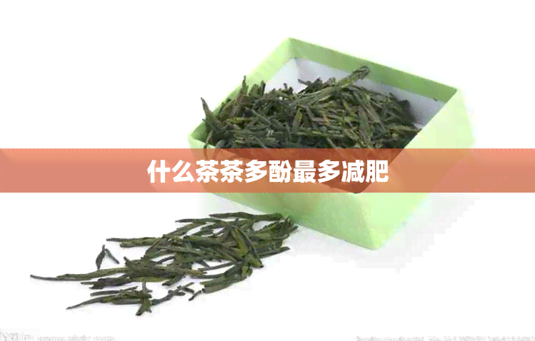 什么茶茶多酚最多减肥