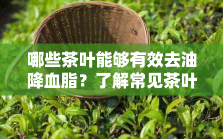 哪些茶叶能够有效去油降血脂？了解常见茶叶的功效以帮助改善健