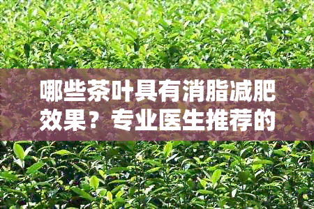 哪些茶叶具有消脂减肥效果？专业医生推荐的茶饮