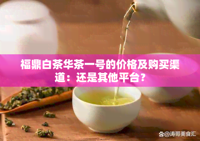 福鼎白茶华茶一号的价格及购买渠道：还是其他平台？