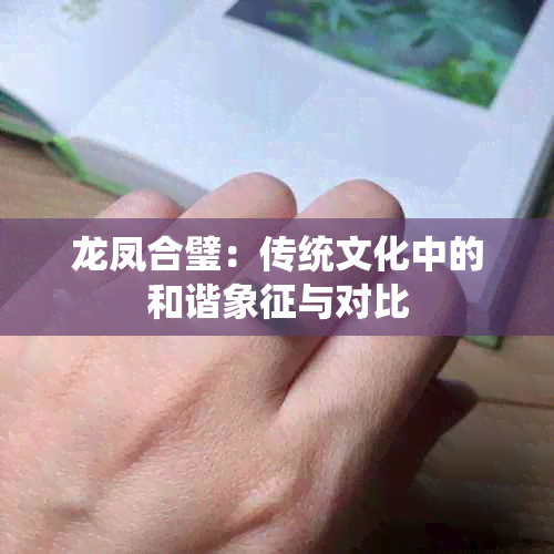 龙凤合璧：传统文化中的和谐象征与对比