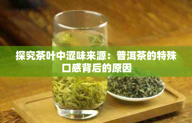 探究茶叶中涩味来源：普洱茶的特殊口感背后的原因