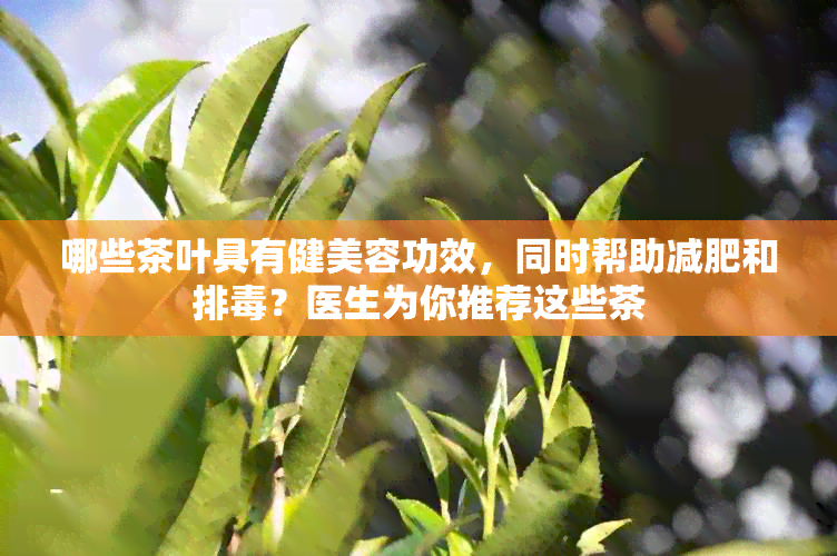 哪些茶叶具有健美容功效，同时帮助减肥和排？医生为你推荐这些茶