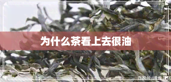 为什么茶看上去很油