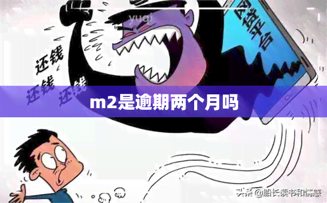 m2是逾期两个月吗