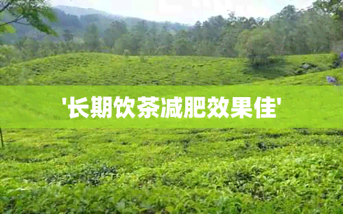 '长期饮茶减肥效果佳'