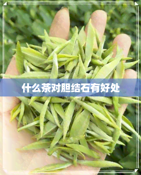 什么茶对胆结石有好处