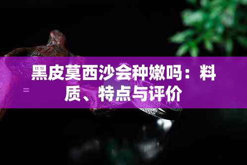 黑皮莫西沙会种嫩吗：料质、特点与评价