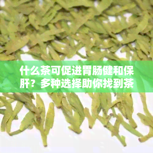 什么茶可促进胃肠健和保肝？多种选择助你找到茶饮