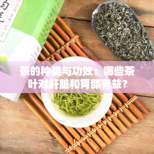 茶的种类与功效：哪些茶叶对肝脏和胃部有益？