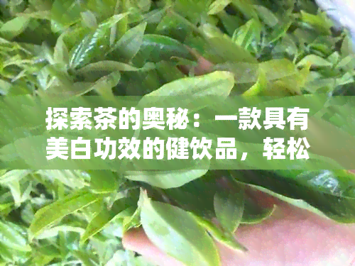 探索茶的奥秘：一款具有美白功效的健饮品，轻松实现减肥养颜