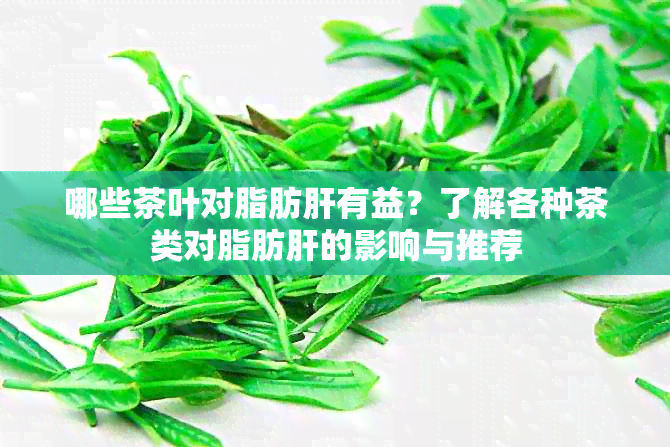 哪些茶叶对脂肪肝有益？了解各种茶类对脂肪肝的影响与推荐