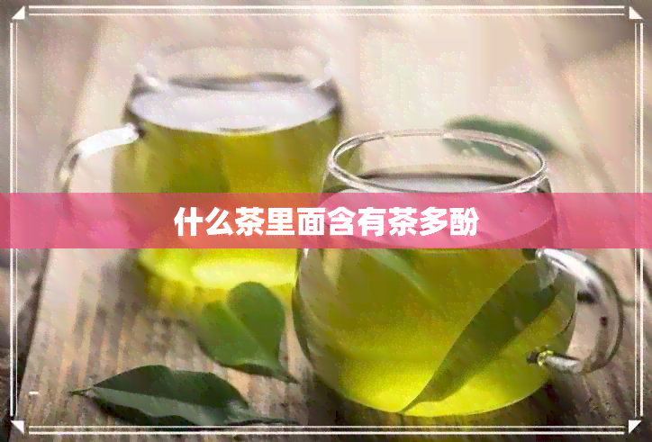 什么茶里面含有茶多酚