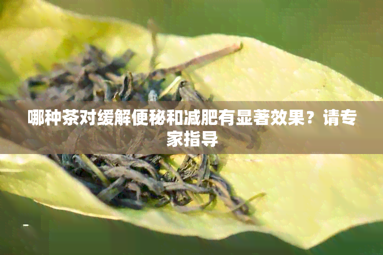 哪种茶对缓解便秘和减肥有显著效果？请专家指导