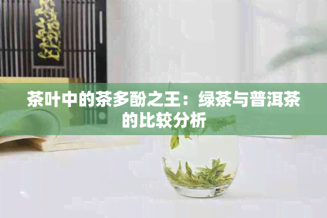 茶叶中的茶多酚之王：绿茶与普洱茶的比较分析