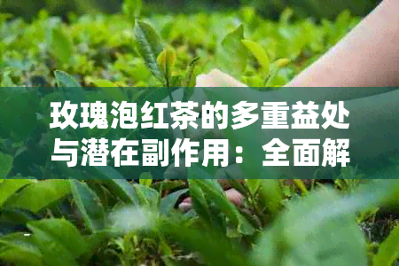 玫瑰泡红茶的多重益处与潜在副作用：全面解析