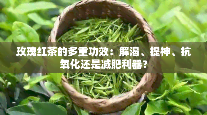 玫瑰红茶的多重功效：解渴、提神、抗氧化还是减肥利器？