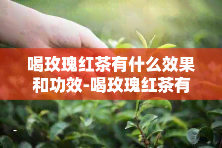 喝玫瑰红茶有什么效果和功效-喝玫瑰红茶有什么效果和功效呢