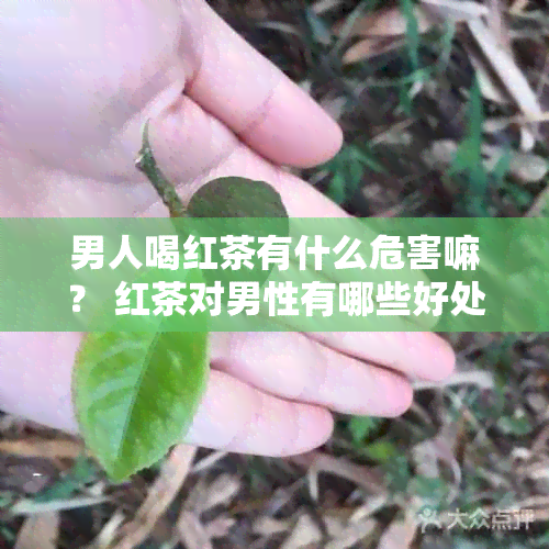 男人喝红茶有什么危害嘛？ 红茶对男性有哪些好处和坏处？