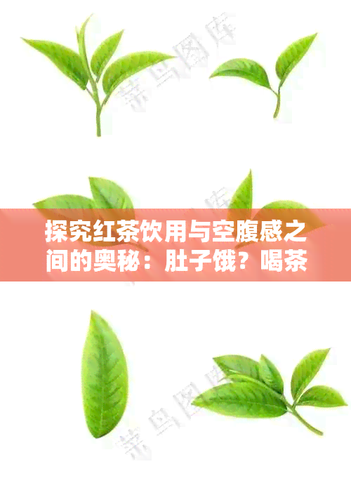 探究红茶饮用与空腹感之间的奥秘：肚子饿？喝茶原因大揭秘！