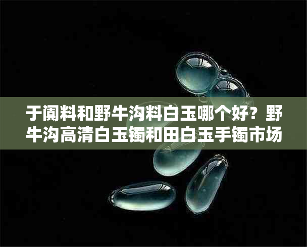 于阗料和野牛沟料白玉哪个好？野牛沟高清白玉镯和田白玉手镯市场价