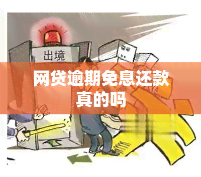 网贷逾期免息还款真的吗