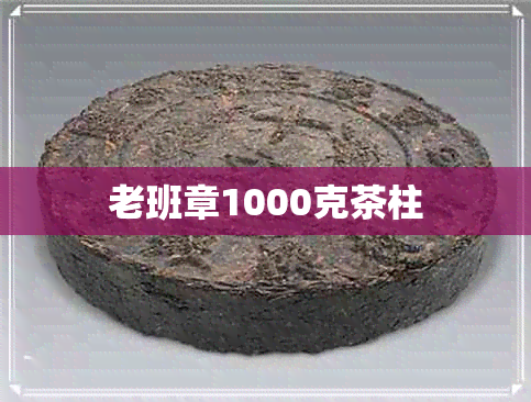 老班章1000克茶柱