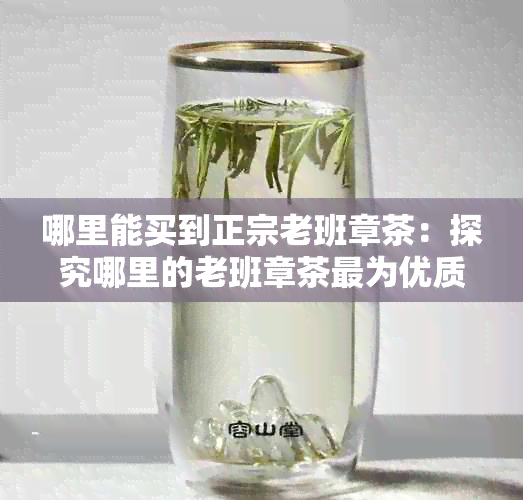 哪里能买到正宗老班章茶：探究哪里的老班章茶最为优质