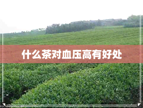 什么茶对血压高有好处