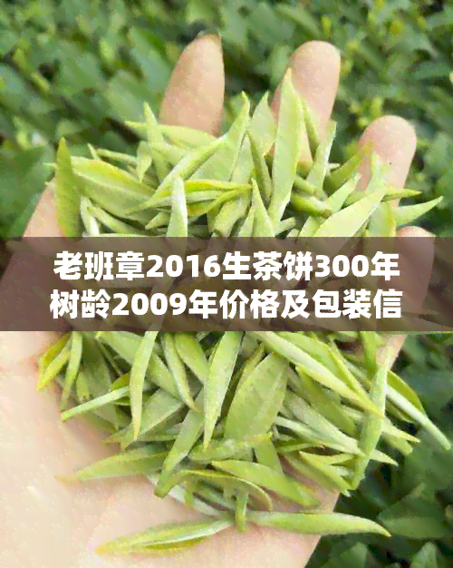 老班章2016生茶饼300年树龄2009年价格及包装信息